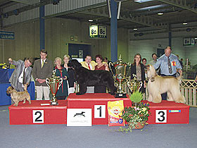 honden fokkers en hond foto's