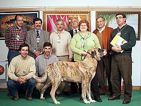 chien leveurs chiens photos