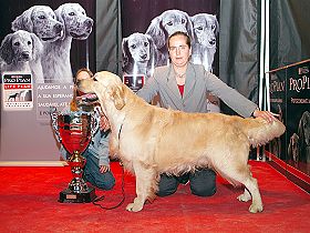 chien �leveurs chiens photos