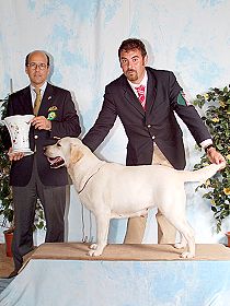 dogs breeders dog pictures