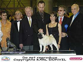 dogs breeders dog pictures