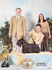 honden fokkers en hond foto's