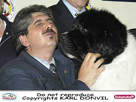 chien leveurs chiens photos
