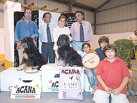 dogs breeders dog pictures