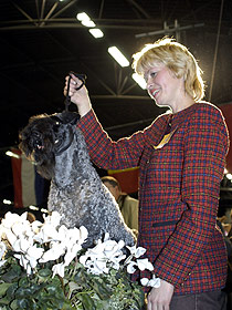 dogs breeders dog pictures