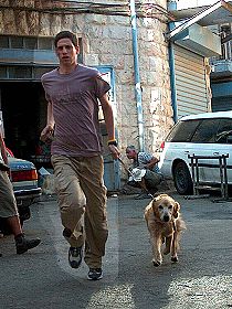 chien �leveurs chiens photos