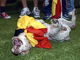 honden fokkers en hond foto's