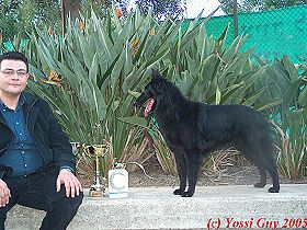 chien �leveurs chiens photos