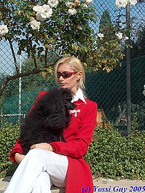 dogs breeders dog pictures