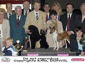 dogs breeders dog pictures