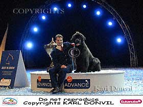 dogs breeders dog pictures