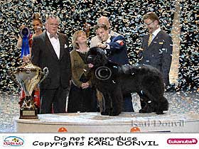 dogs breeders dog pictures