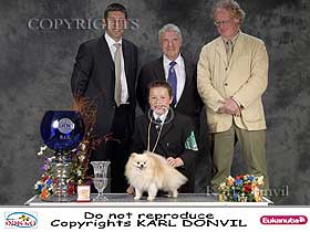 dogs breeders dog pictures