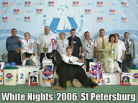 dogs breeders dog pictures