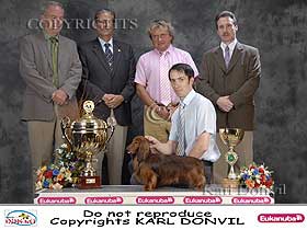 dogs breeders dog pictures