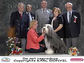 dogs breeders dog pictures
