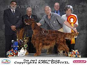 dogs breeders dog pictures