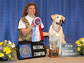 chien �leveurs chiens photos
