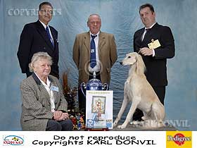 chien �leveurs chiens photos