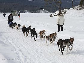 honden fokkers en hond foto's