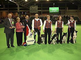 chien �leveurs chiens photos