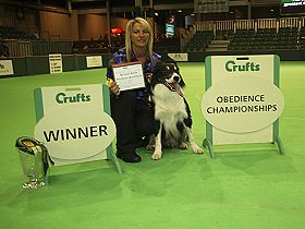 chien �leveurs chiens photos