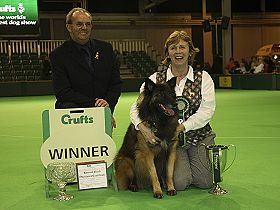 chien �leveurs chiens photos