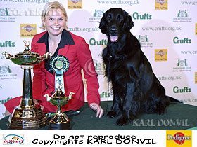 honden fokkers en hond foto's
