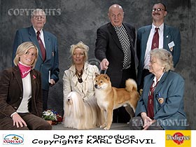 dogs breeders dog pictures