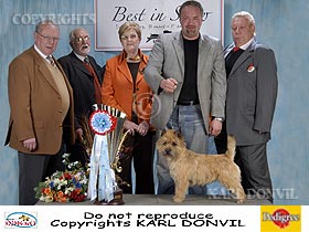 honden fokkers en hond foto's