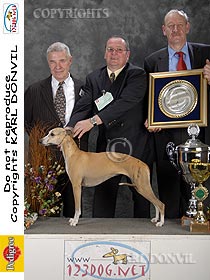 chien �leveurs chiens photos