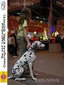 honden fokkers en hond foto's