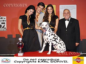 dogs breeders dog pictures