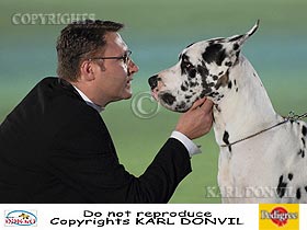 dogs breeders dog pictures