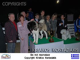 honden fokkers en hond foto's