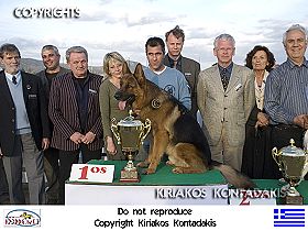dogs breeders dog pictures