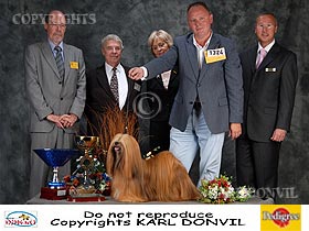 dogs breeders dog pictures