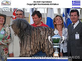 dogs breeders dog pictures
