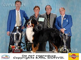 chien �leveurs chiens photos