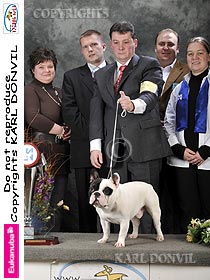 honden fokkers en hond foto's