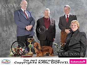 dogs breeders dog pictures