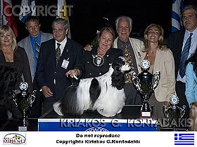 chien �leveurs chiens photos