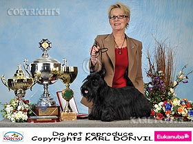 dogs breeders dog pictures