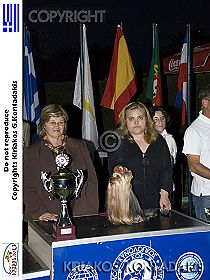 chien �leveurs chiens photos