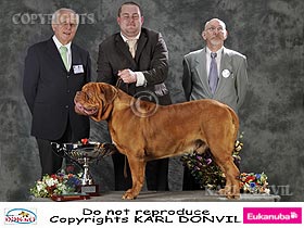 honden fokkers en hond foto's