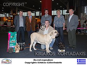honden fokkers en hond foto's