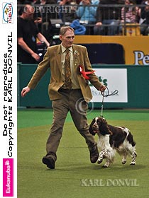 dogs breeders dog pictures