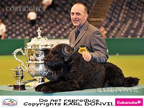 dogs breeders dog pictures