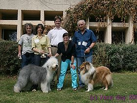 dogs breeders dog pictures