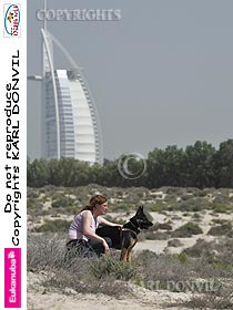 chien �leveurs chiens photos